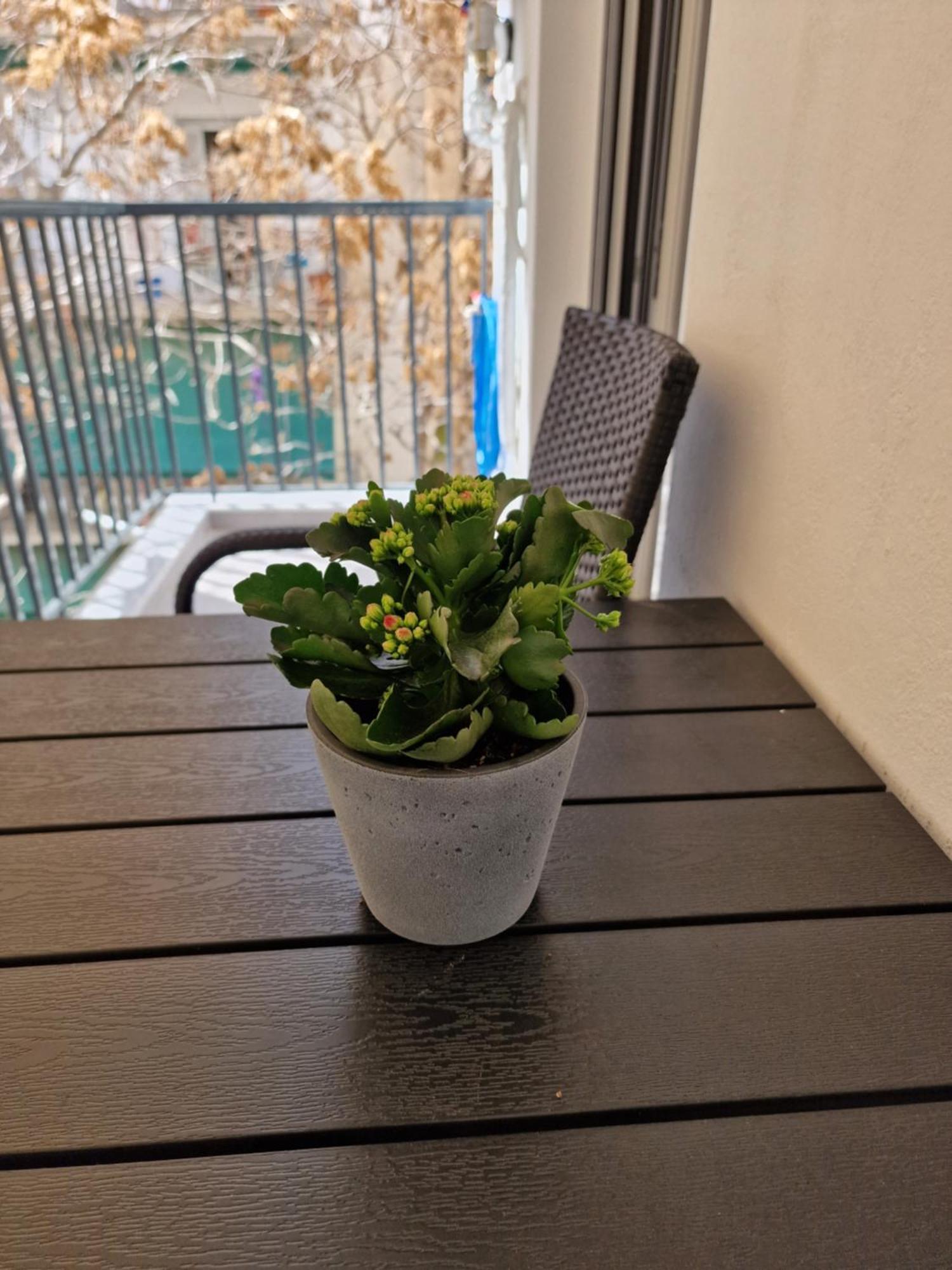 Apartament Luxury In Attiki *